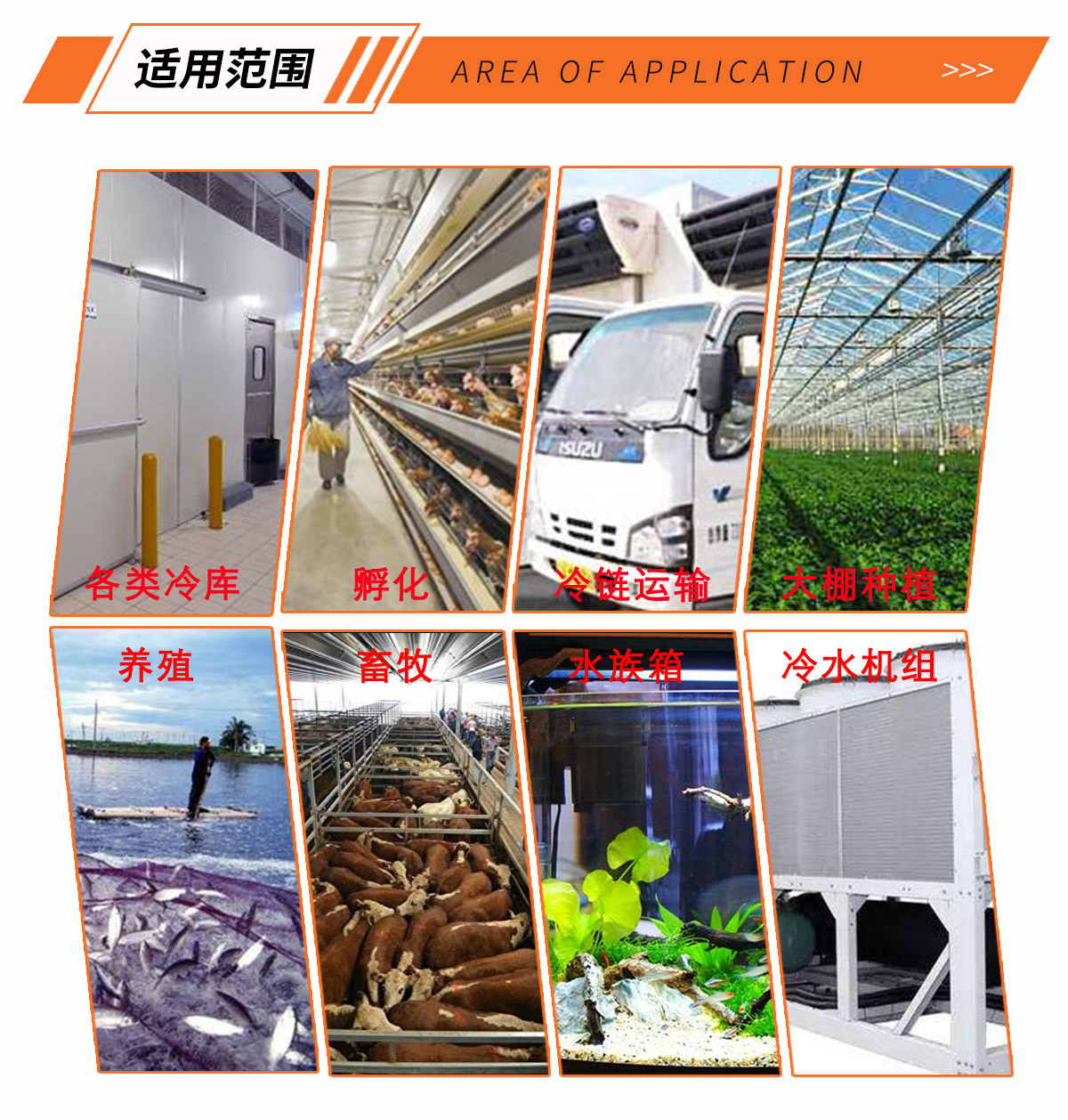 溫度控制器-溫控器-制冷制熱恒溫控制器-電子溫控器 溫控儀表-匯生